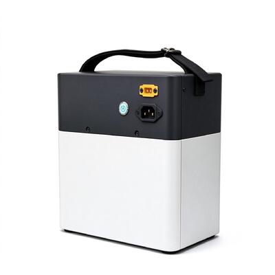 Qualität Portable LiFePO4 Energy Storage Power Station 500W Pure Sine Wave Off Grid Solar Backup Power Supply 1kWh Capacity With Built In MPPT Charger For Home Emergency Field Use Fabrik